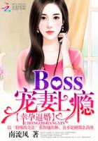 ���бƻ飺Boss�������