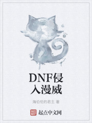 DNF��������