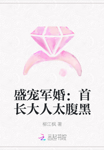 ʢ����飺�׳�����̫����