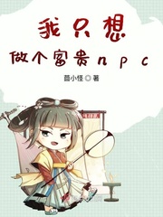 ��ֻ����������npc
