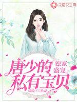 ����ʢ�裺���ٵ�˽�б���